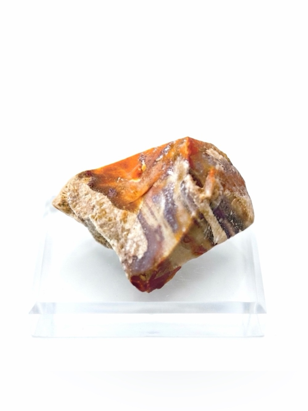New Petrified Wood Brown Tan Natural Free Form Specimen Chunk 23.9g Ultraviolet
